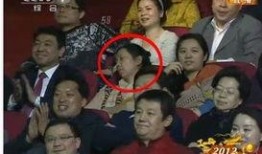 最新春晚爆料视频,最新爆料视频带你领略精彩瞬间